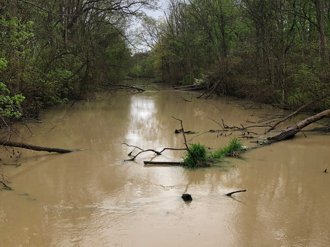 Day Light Falls-Napoleon必去景点