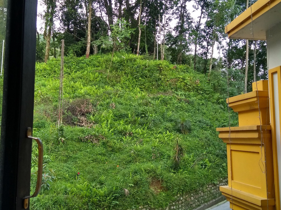 Saramsa Resort主图