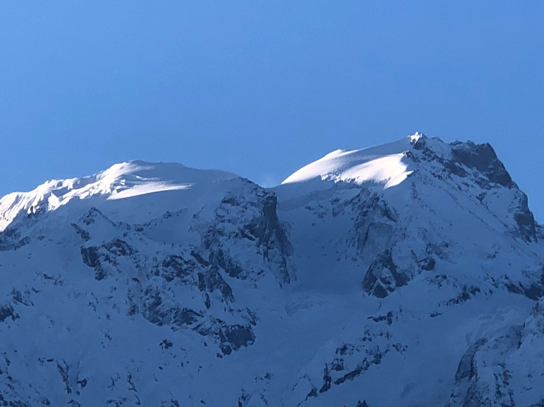 The Grand Shamba-La主图