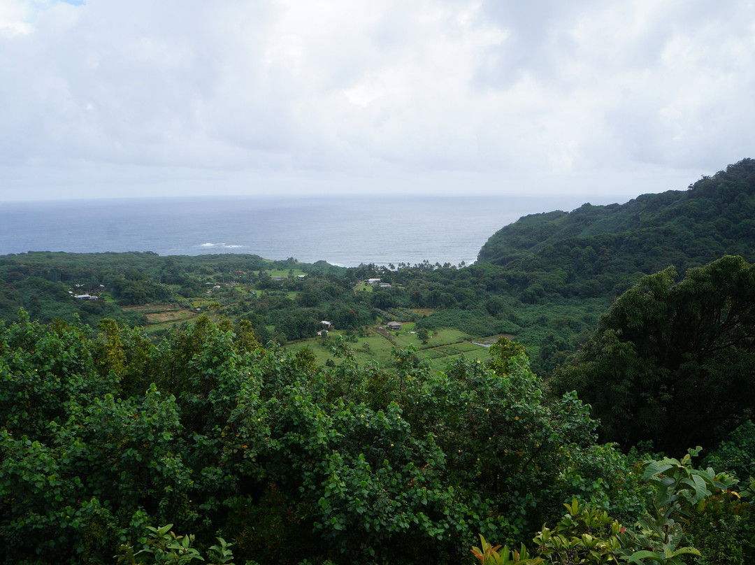 Wailua Valley State Wayside Park-库拉必去景点