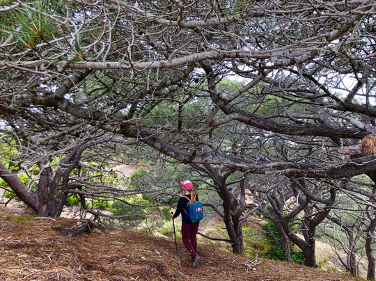 Santa Rosa Island-峡岛国家公园必去景点