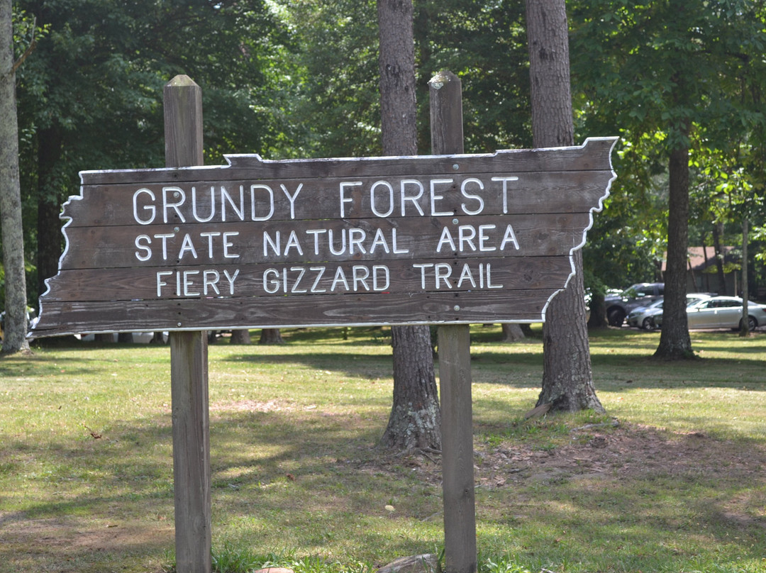 Grundy Forest Natural Area景点图片