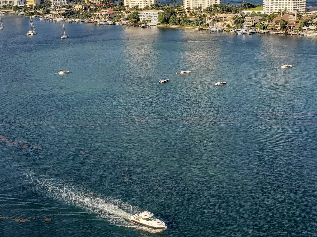 The Boca Raton主图