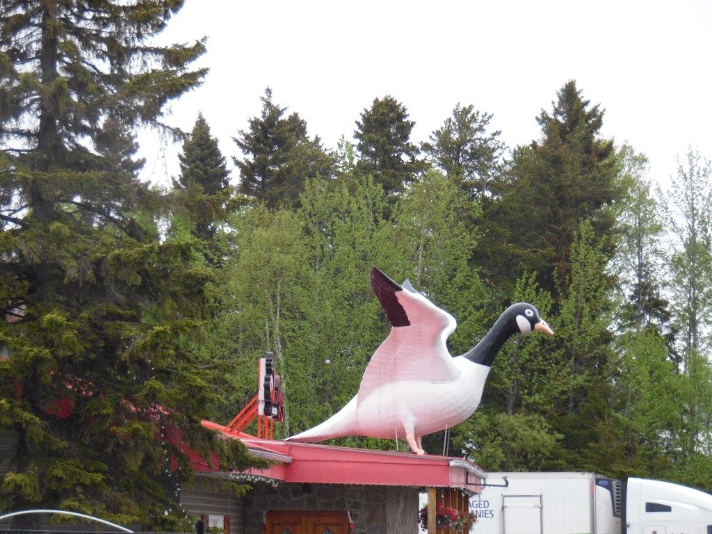 Wawa Motor Inn主图