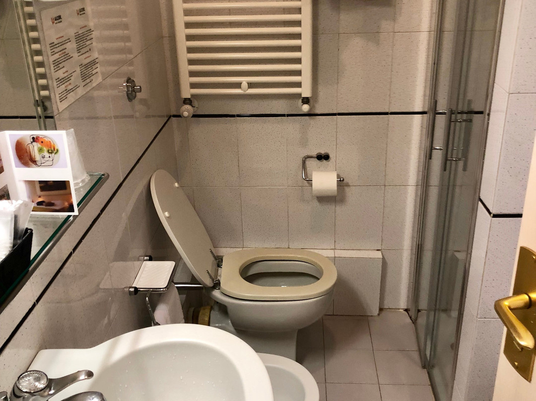 阿尔西德酒店主图