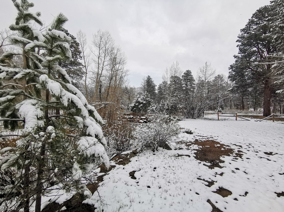 Nicky's Resort主图