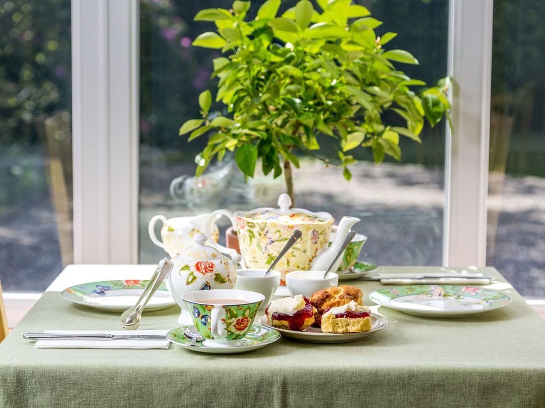 Trewint Farm Bed & Breakfast主图