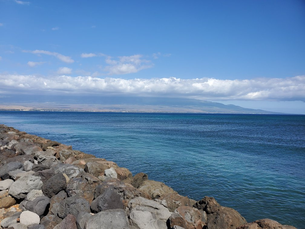 Maalaea Harbor景点图片