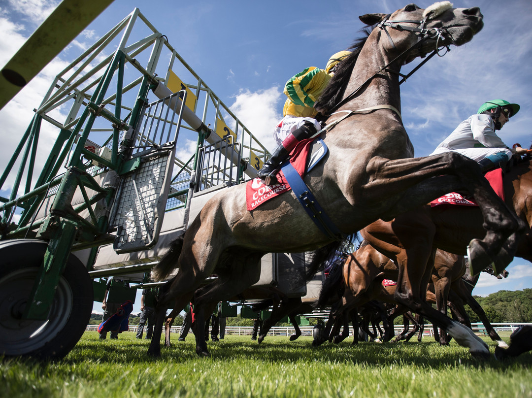 Cork Racecourse Mallow-Mallow必去景点