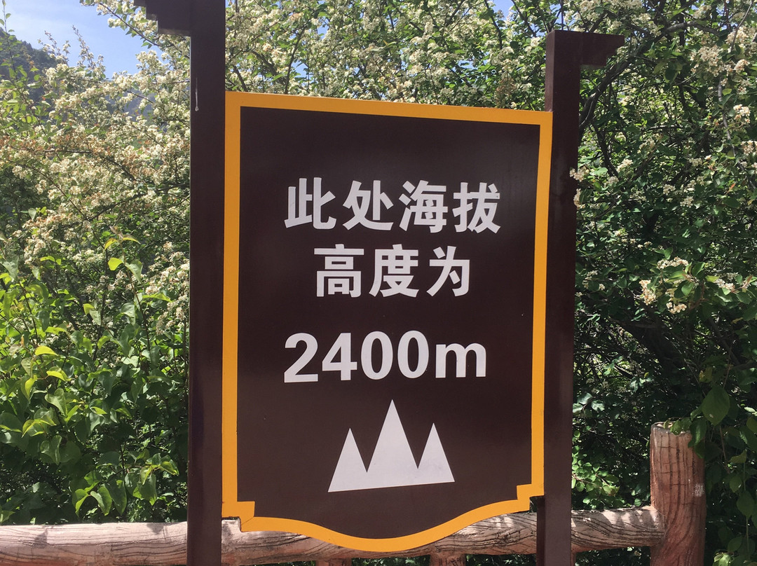 兴隆山国家级自然保护区景点图片