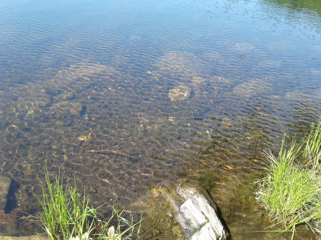 Mohegan Park-诺威奇必去景点