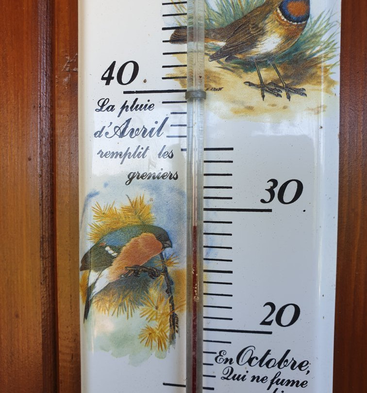 La Guérinière主图