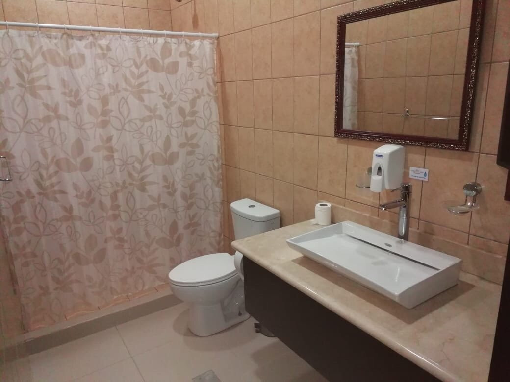 Hotel Provincial主图