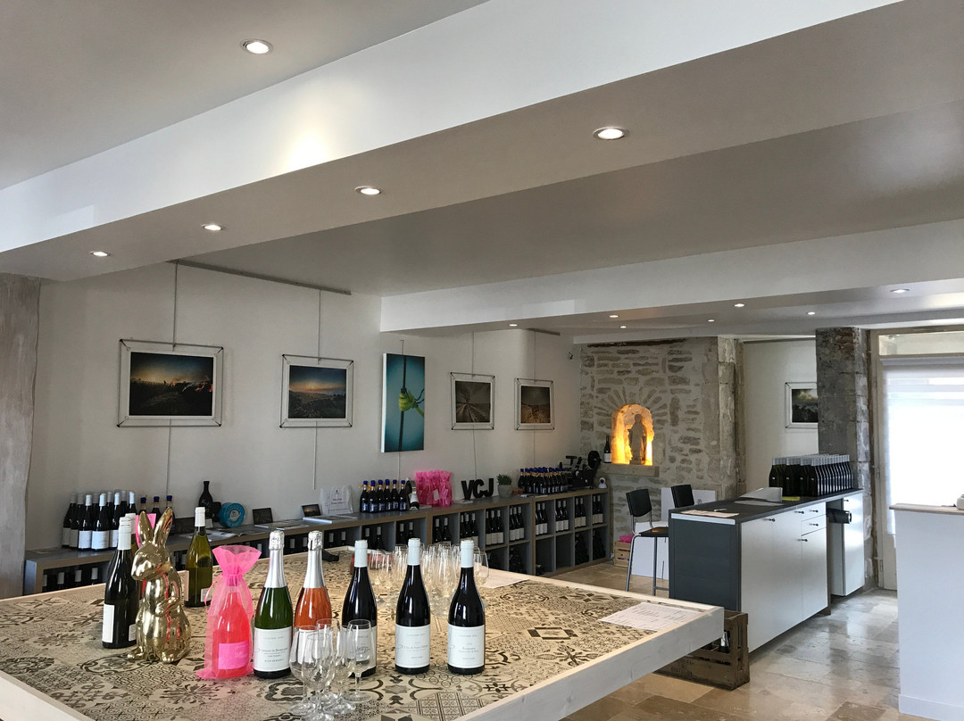 Vins Coudurier Jung景点图片