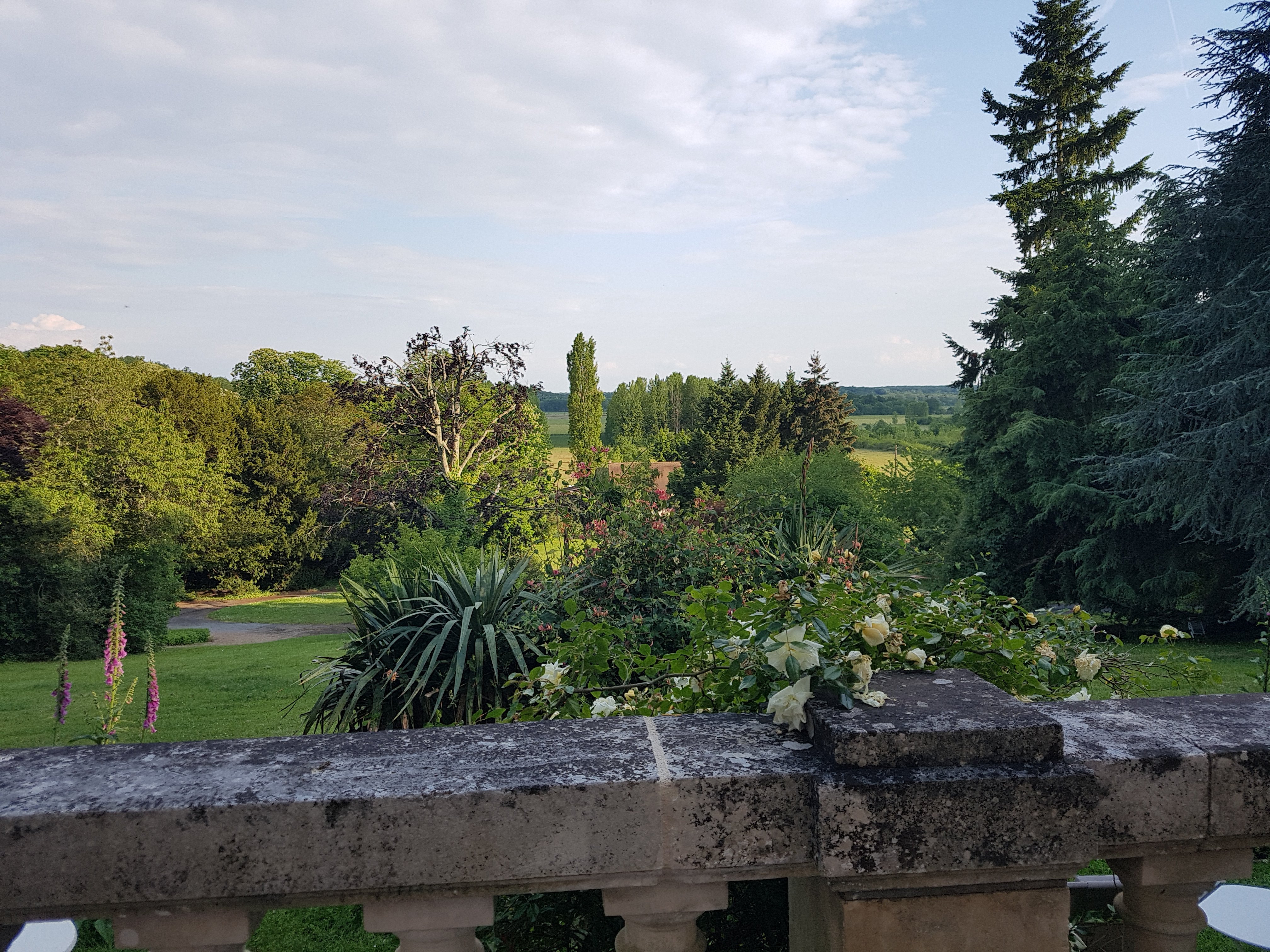 Hotel Chateau des Tertres-餐饮