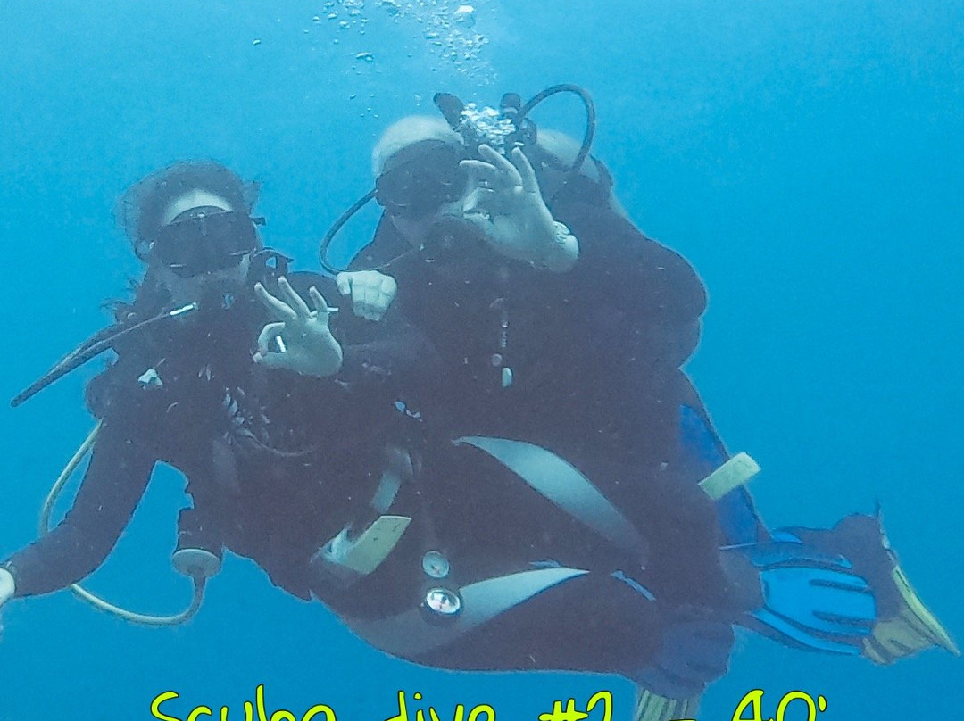 Sea Saba Dive Center景点图片