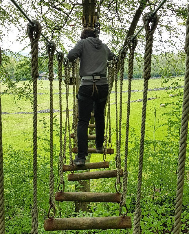 Go Ape Buxton-巴克斯顿必去景点