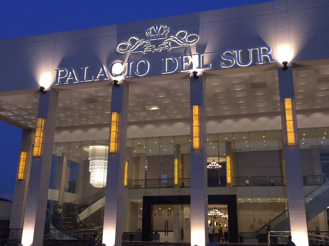 Palacio del Sur主图