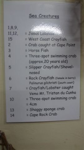 SA Fisheries Museum-Velddrif必去景点