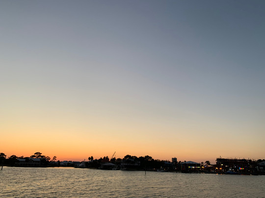 Southern Rose Dolphin Cruises-橙色海湾必去景点