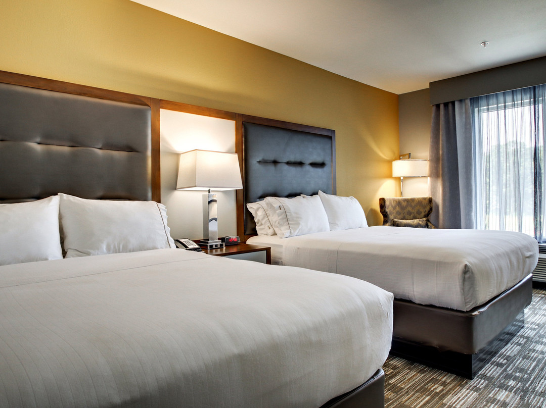 Holiday Inn Express & Suites Albany By IHG主图