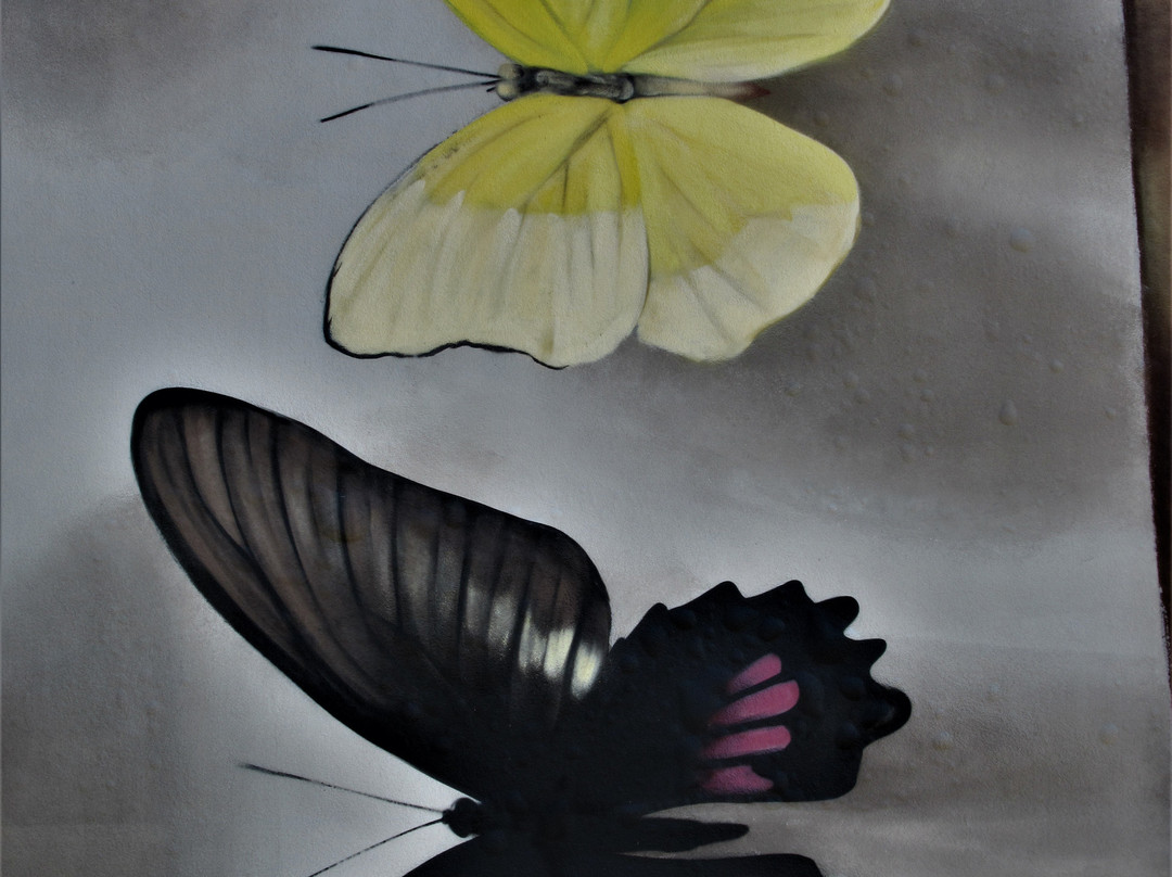 Fresque "Collection de papillons"-蒂永维尔必去景点