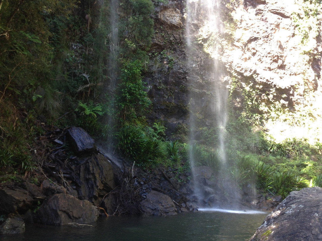Gold Coast Rainforest Tours & Hikes-冲浪者天堂必去景点