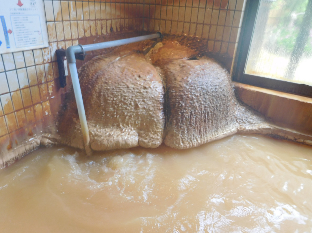 Hanayama Onsen Yakushi No Yu主图