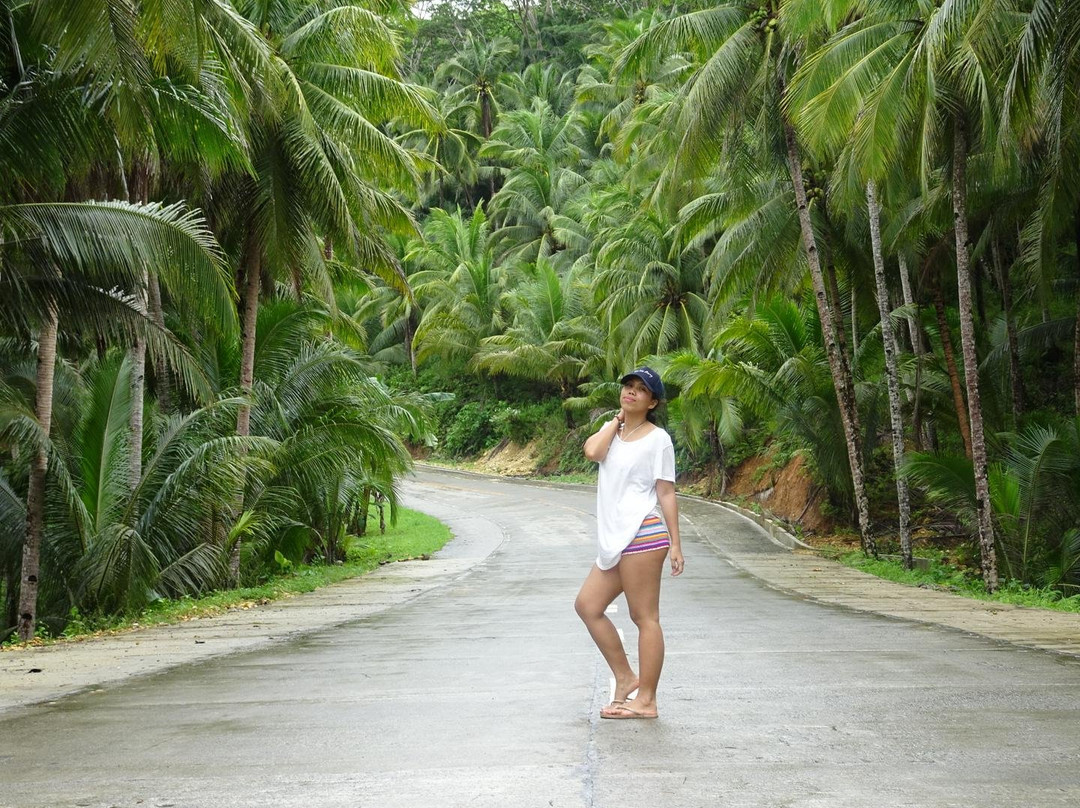 C. F. Flores Learn & Travel Systems-奎松市必去景点