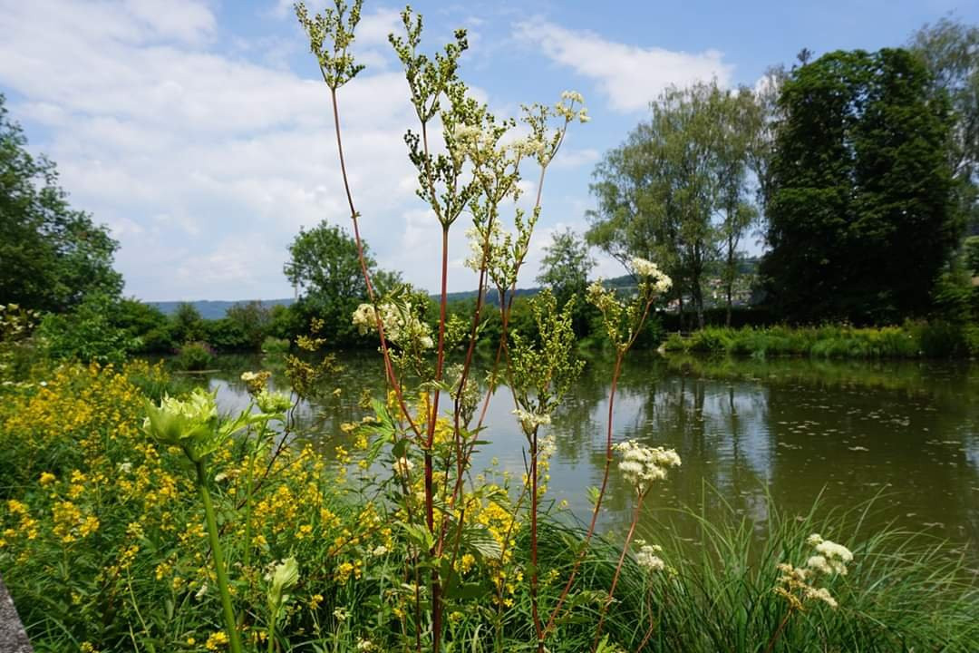 Klostergumpen-Embrach必去景点