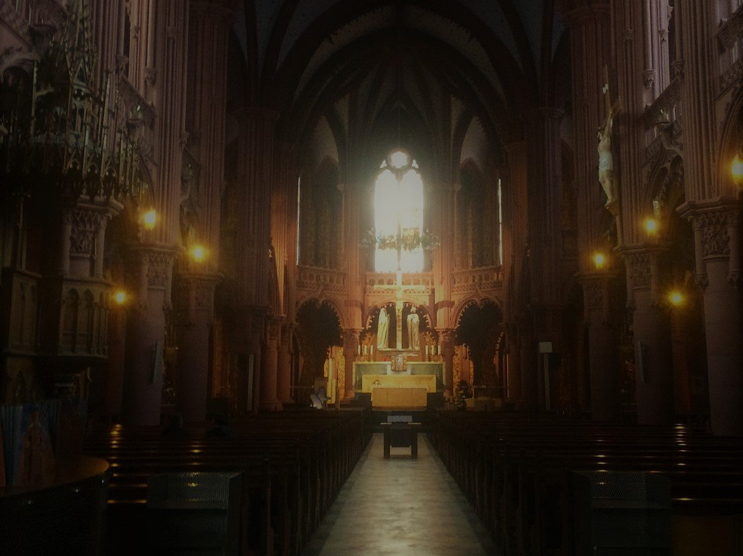 Basilique Notre-Dame de l'Assomption-纳沙泰尔必去景点