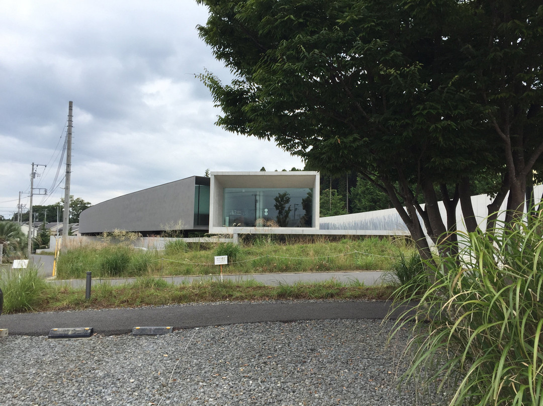 Hoki Museum景点图片