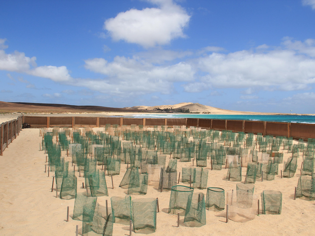 Inseltouren mit Herz-博阿维斯塔必去景点