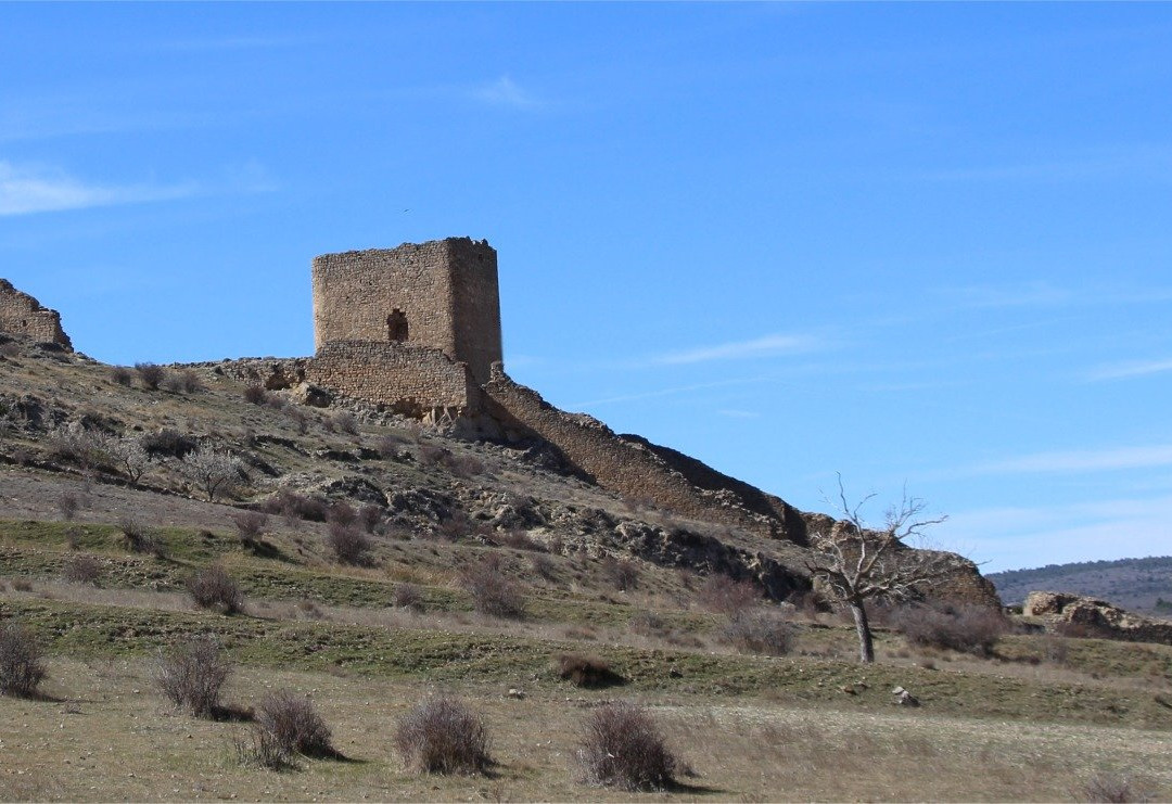 Moya Castle景点图片
