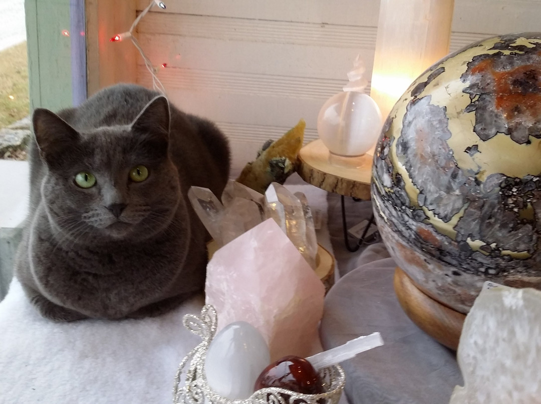 Nature's Treasures-Stockton必去景点