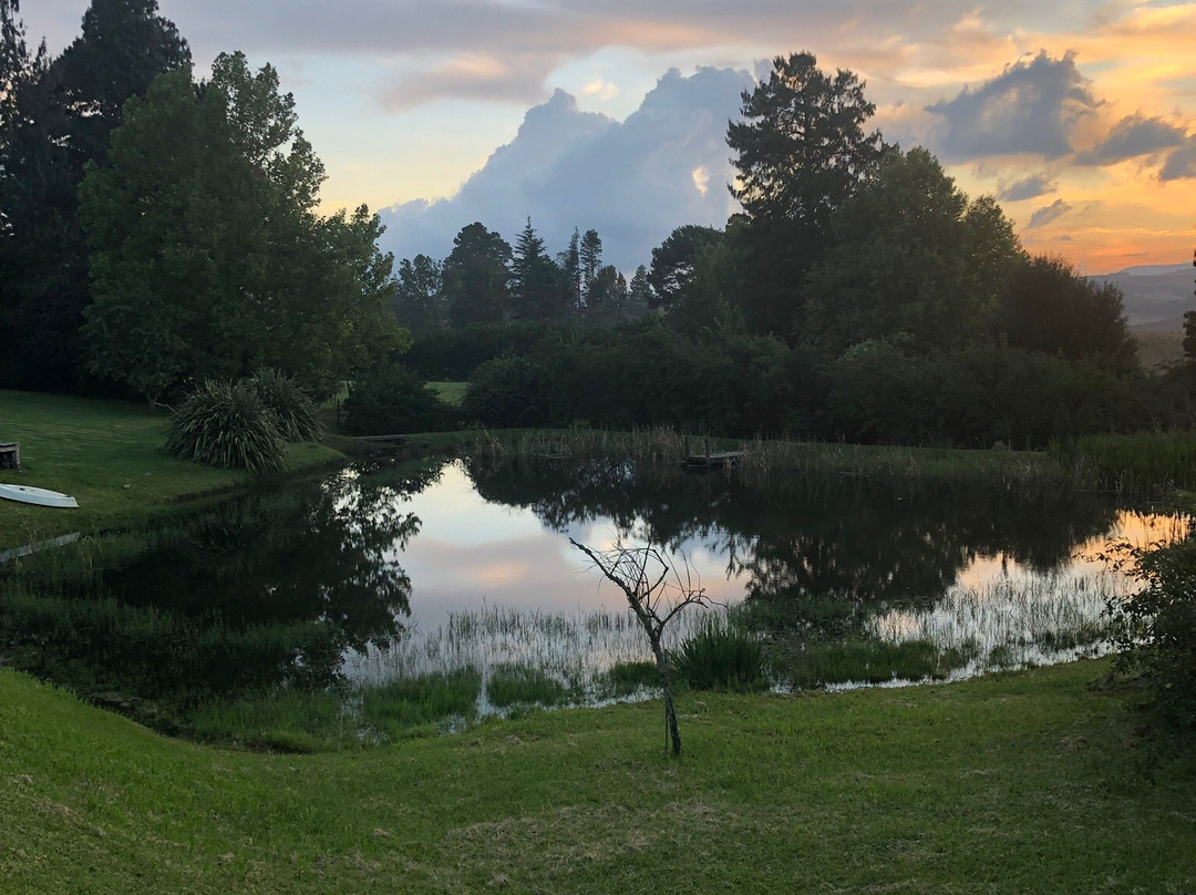 Twin Pools Lodge Bed & Breakfast主图