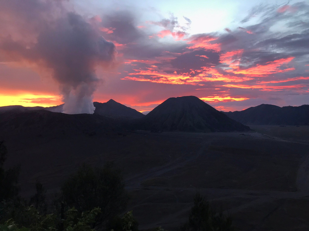Bromo Authentic Tours景点图片