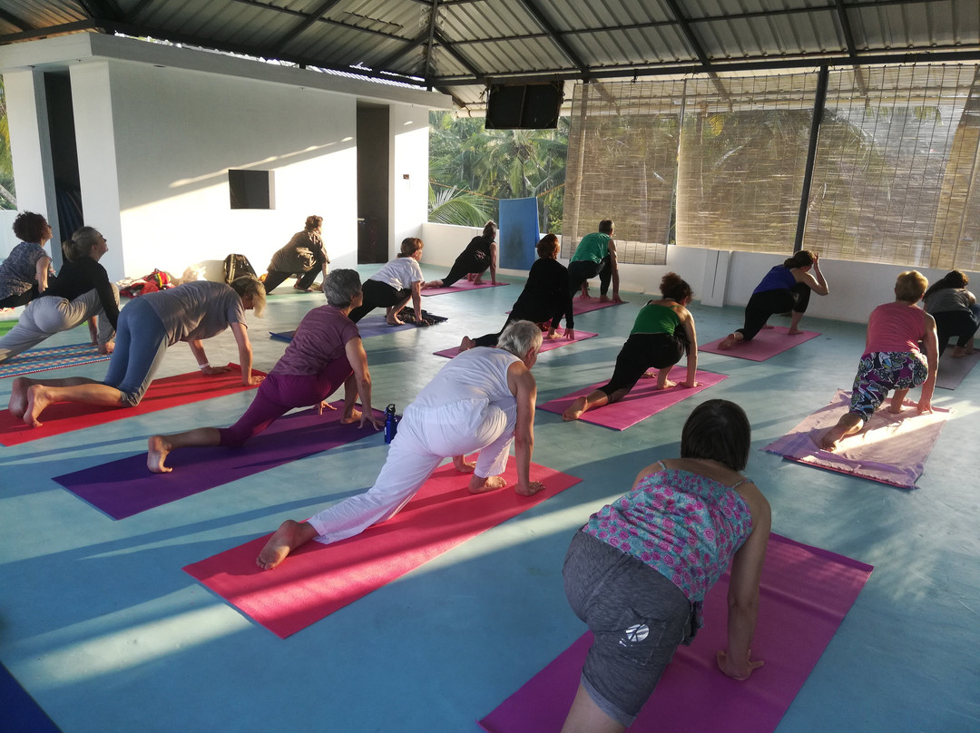 Elephant Yoga Centre景点图片