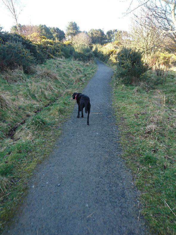 Kincorth Hill Nature Reserve景点图片