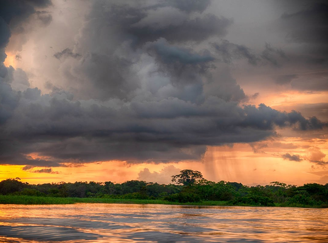 Amazonas Jungle Tours Operator景点图片