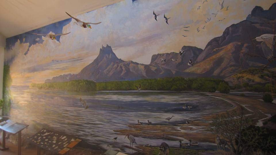 Estero el Soldado, Área Natural Protegida-圣卡洛斯必去景点