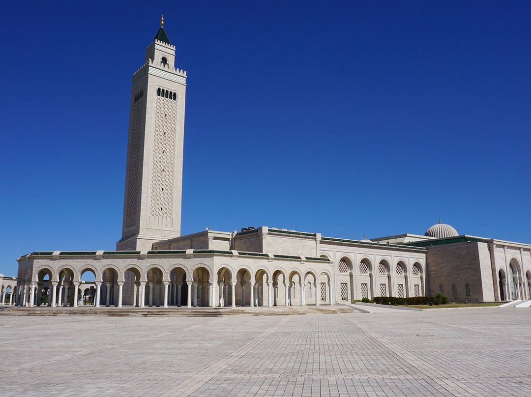 El Abidine Mosque景点图片