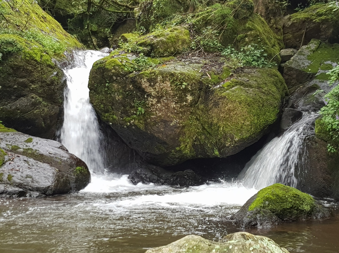 Horse Shoe Falls-沙比必去景点