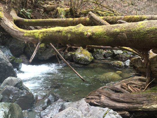 Rocky Brook Falls Trail-Brinnon必去景点
