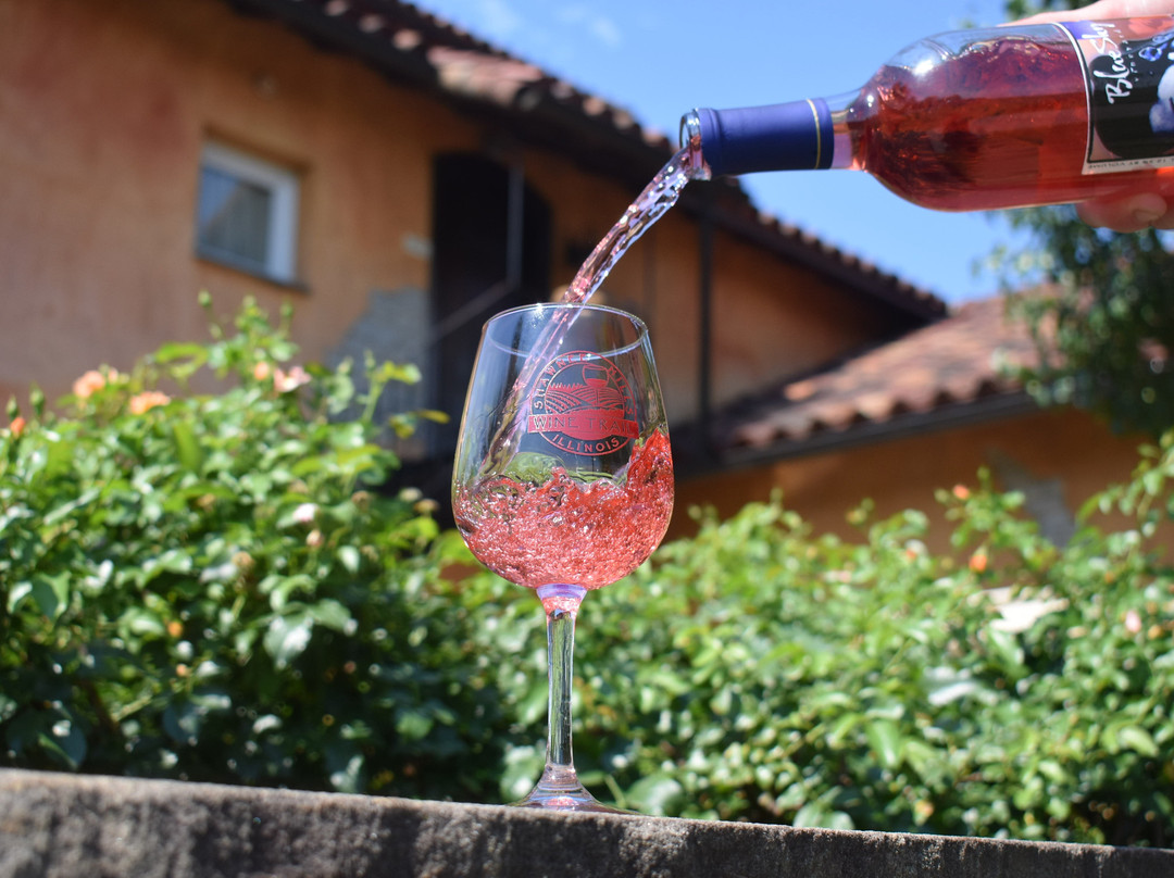 Blue Sky Vineyard主图