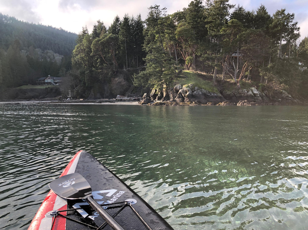 Salt Spring Island Paddle Board Company景点图片