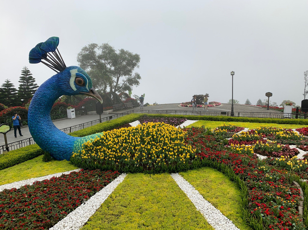 L'Indochine Hotel - Banahills主图