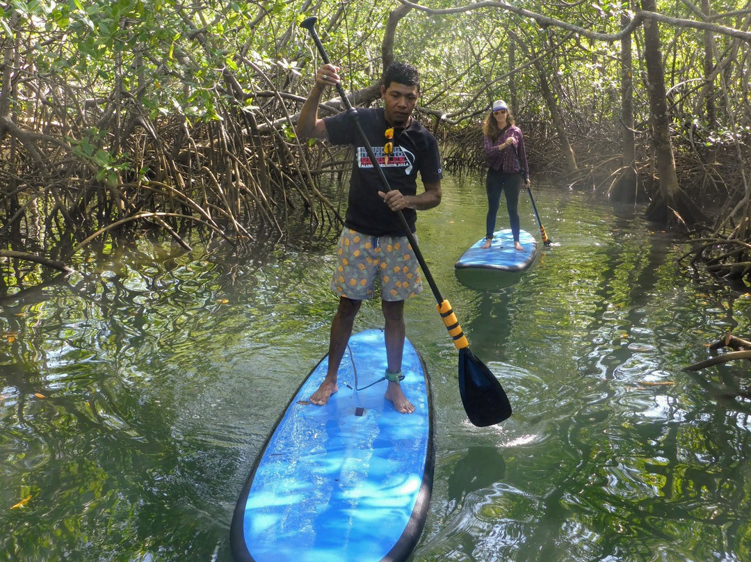 Sup Santa Catalina景点图片