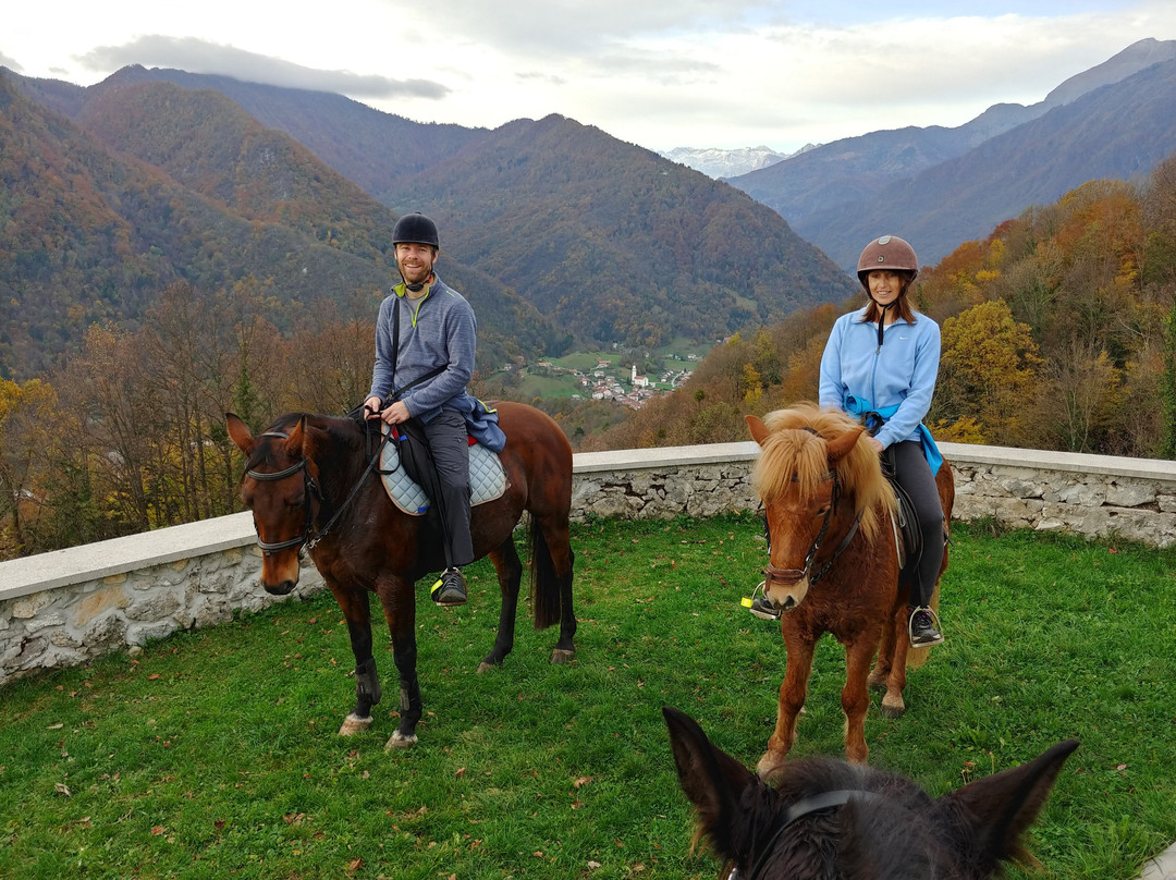 Horse Riding Club Ranch Pelance景点图片