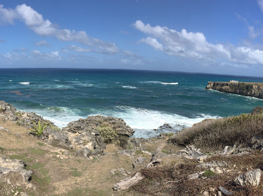 Harrison's Point Lighthouse景点图片